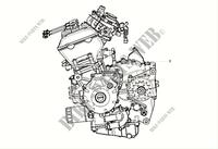 COMPLETE ENGINE for Benelli TRK 502 X (E4) (M0) 2020
