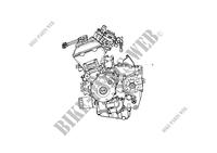 COMPLETE ENGINE for Benelli TRK 502 X (E5) M3 2023